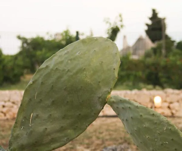 Enjoytrulli - Countryside Villa Noci