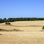 Enjoytrulli - Countryside